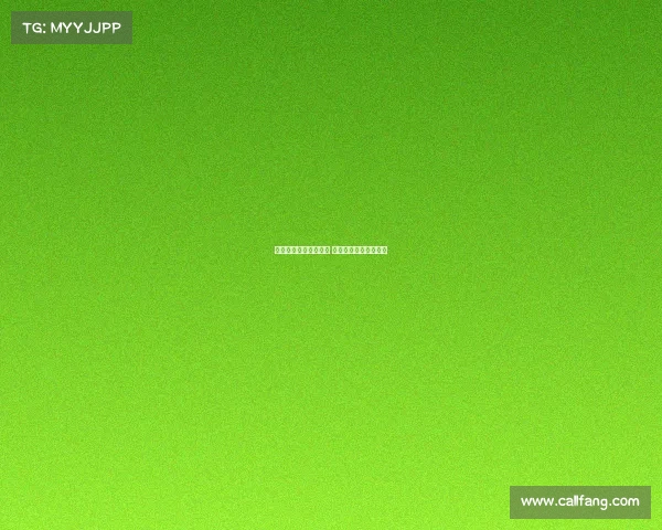 德甲保级大战激烈上演 生死时刻决定球队命运