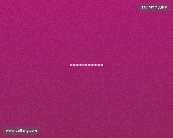 勒沃库森崛起之路 德甲劲旅如何重塑辉煌迎接挑战