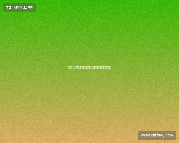 英超20队夏季转会窗口评级解析 利物浦强势表现枪手稍逊一筹